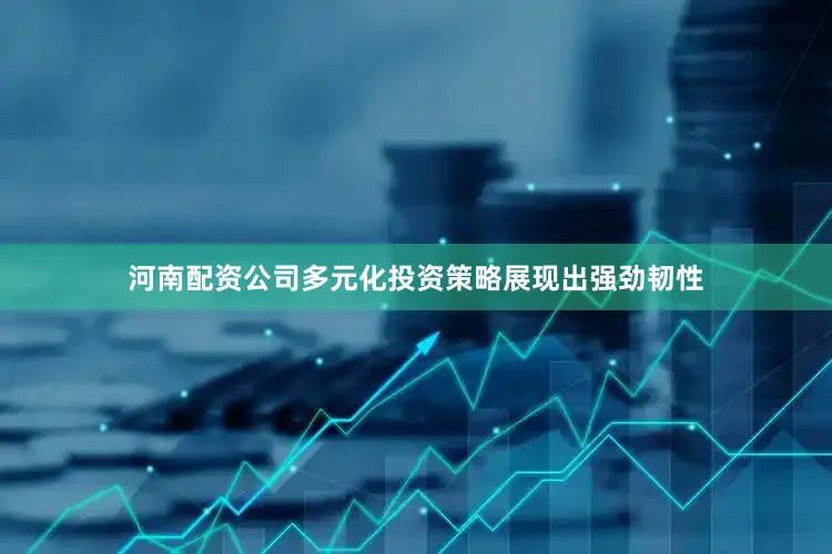 河南配资公司多元化投资策略展现出强劲韧性