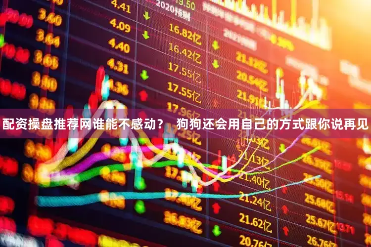 配资操盘推荐网谁能不感动？  狗狗还会用自己的方式跟你说再见
