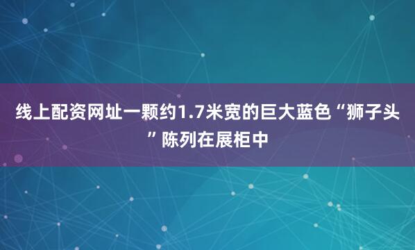 线上配资网址一颗约1.7米宽的巨大蓝色“狮子头”陈列在展柜中
