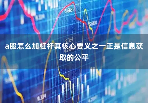 a股怎么加杠杆其核心要义之一正是信息获取的公平