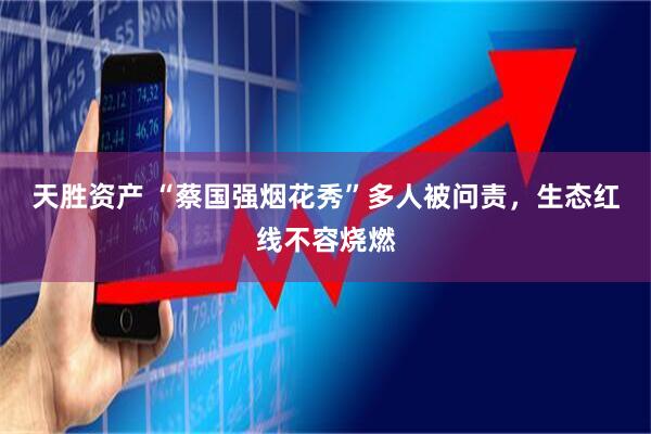 天胜资产 “蔡国强烟花秀”多人被问责，生态红线不容烧燃