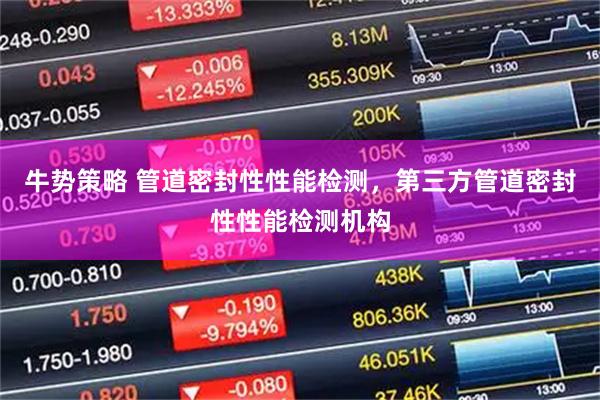 牛势策略 管道密封性性能检测，第三方管道密封性性能检测机构