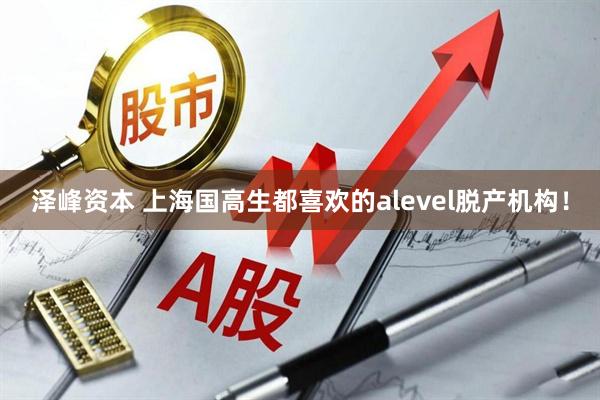 泽峰资本 上海国高生都喜欢的alevel脱产机构！